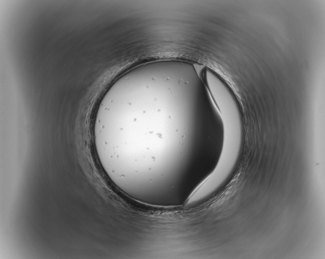 X0000096430673200802141432