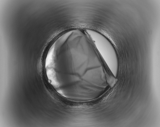 X0000096430674200802141432