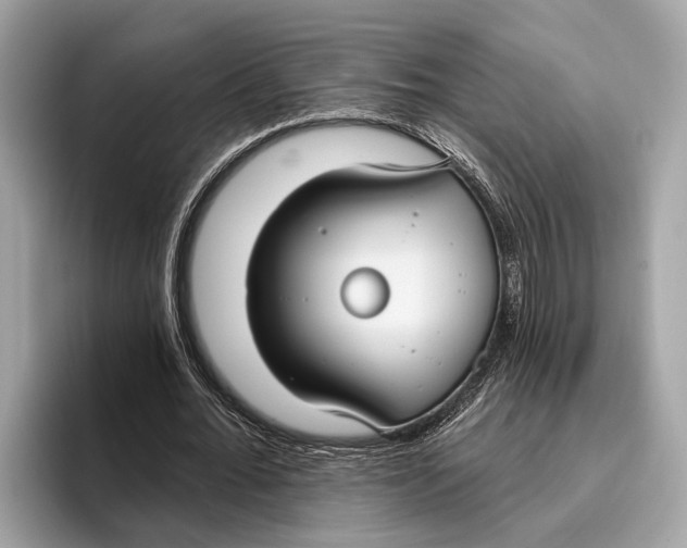 X0000096430676200802141432