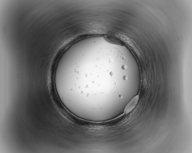 X0000096430677200802141432