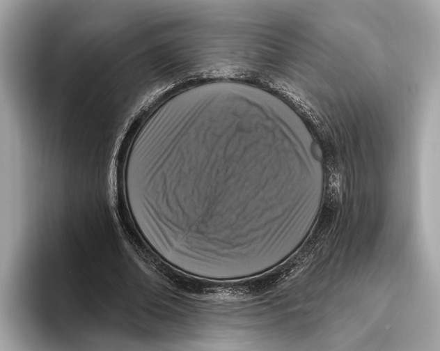 X0000096430678200802141432