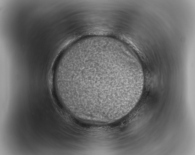 X0000096430679200802141432