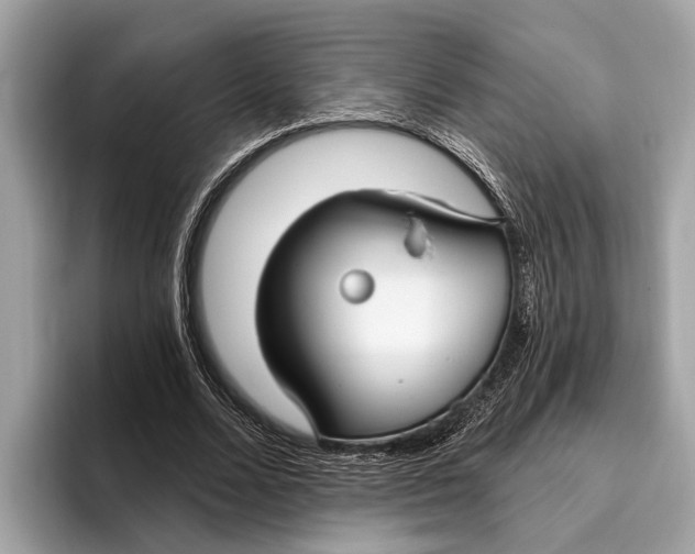 X0000096430680200802141432