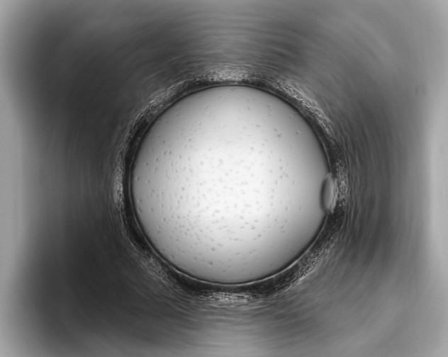 X0000096430681200802141432