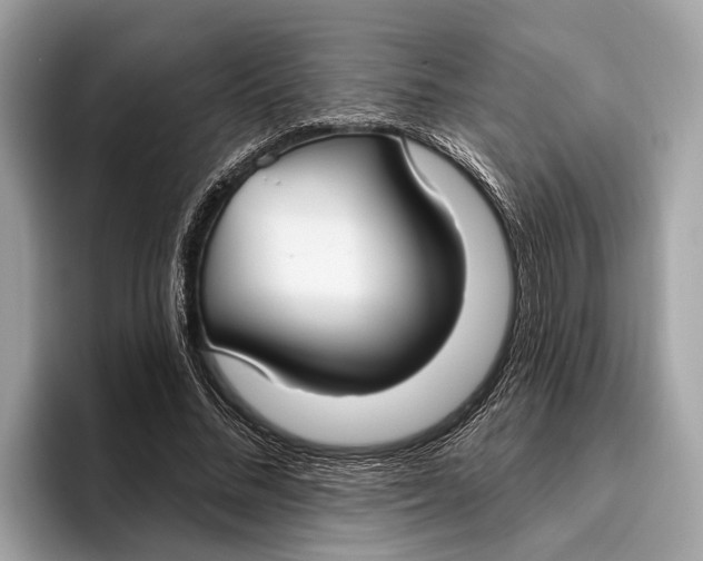 X0000096430684200802141432