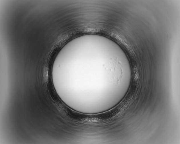 X0000096430685200802141432
