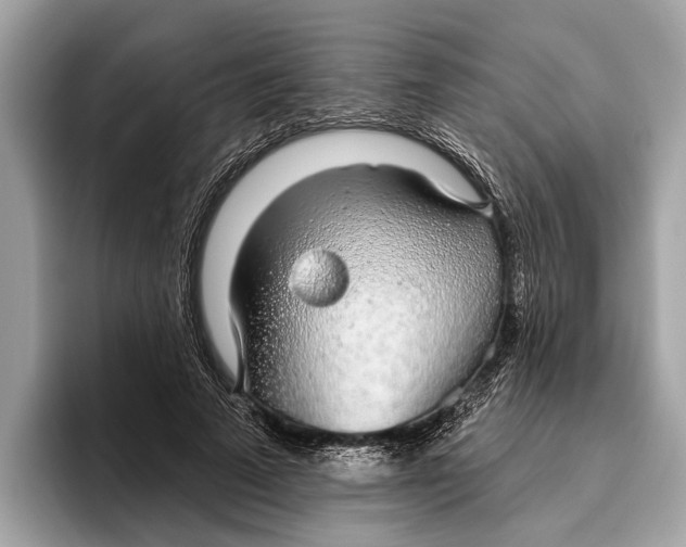 X0000096430689200802141432
