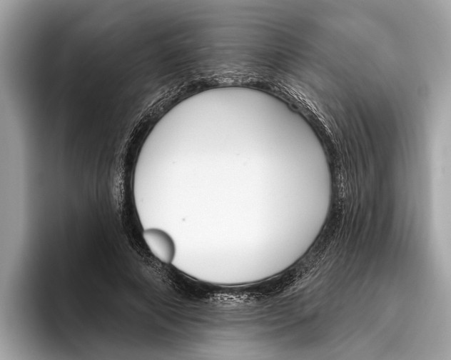 X0000096430690200802141432