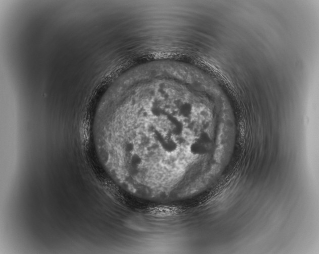 X0000096430691200802141432
