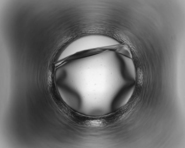 X0000096430692200802141432