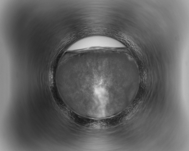 X0000096430696200802141432