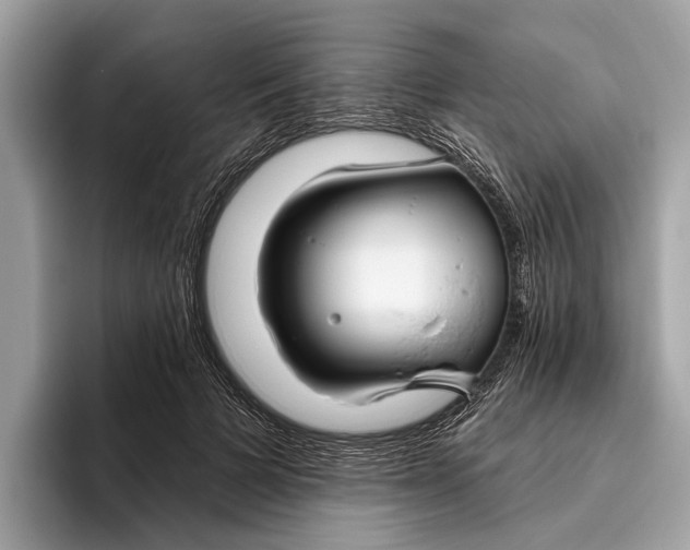X0000096430697200802141432