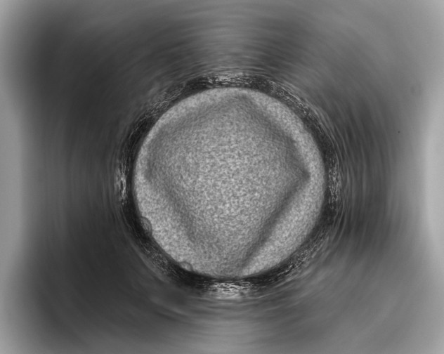 X0000096430703200802141432