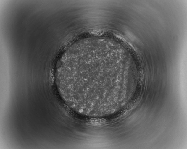 X0000096430707200802141432