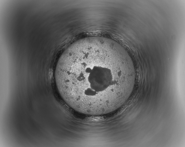 X0000096430711200802141432