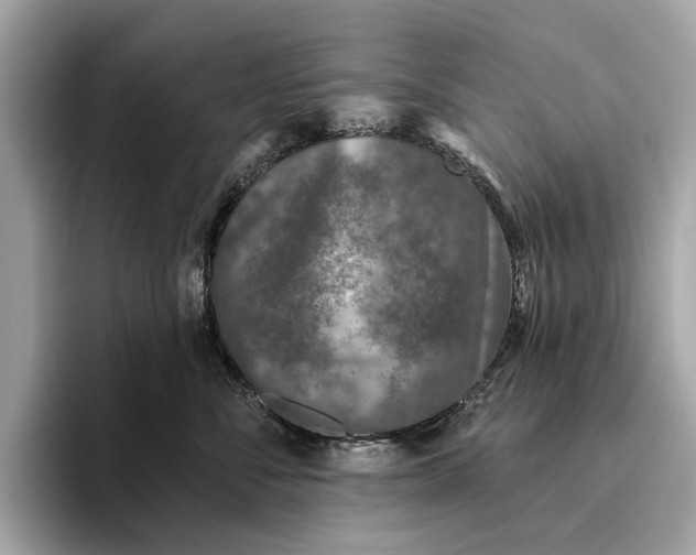 X0000096430716200802141432