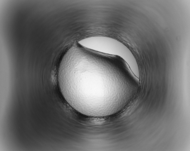 X0000096430719200802141432