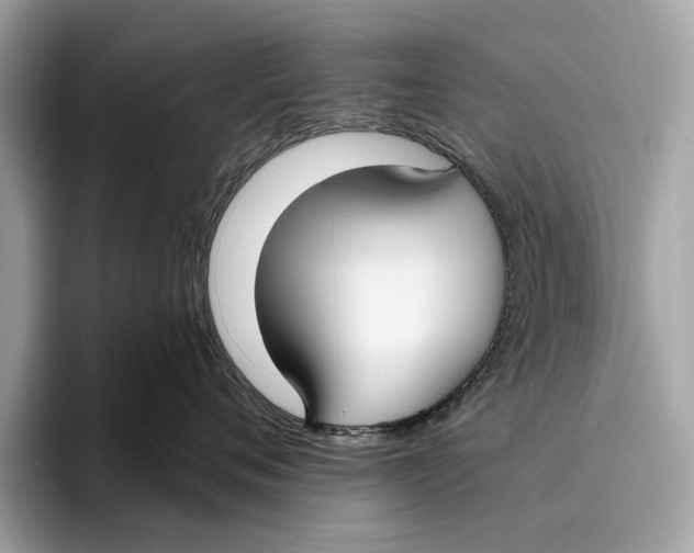 X0000096430720200802141432
