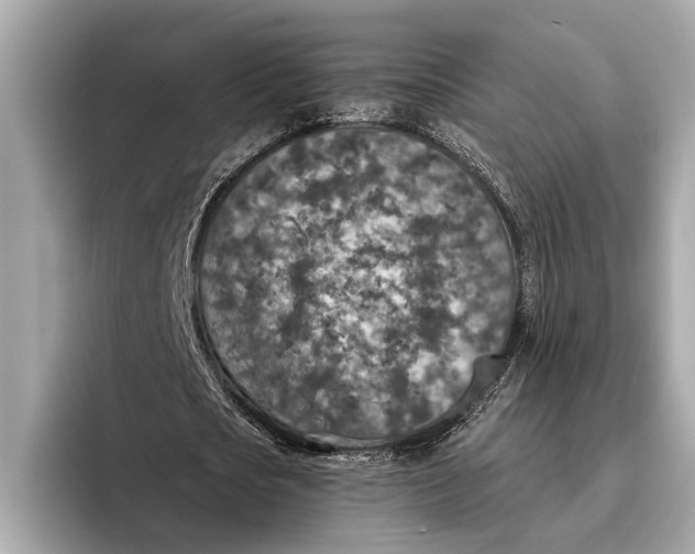 X0000096430721200802141431