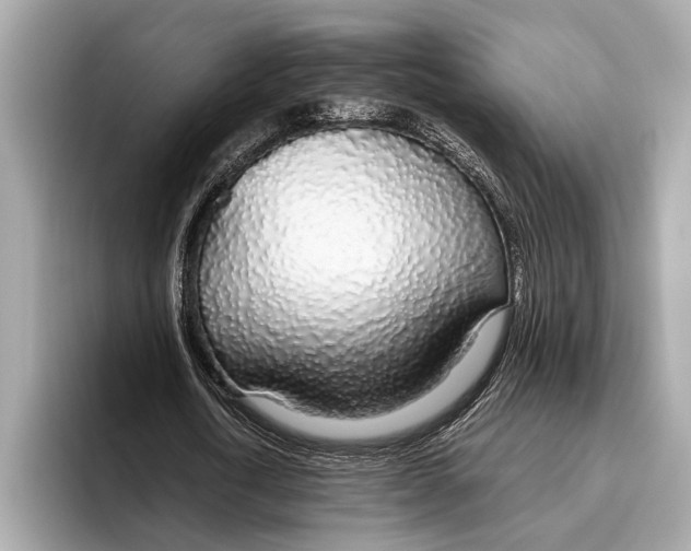 X0000096430722200802141431