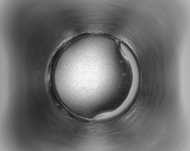 X0000096430723200802141431
