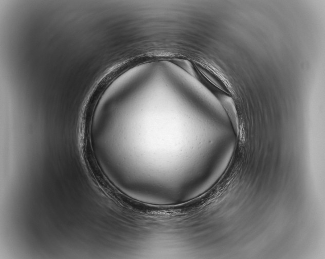 X0000096430724200802141431