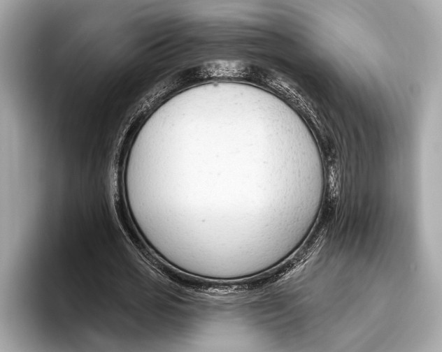 X0000096430725200802141431