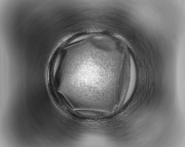 X0000096430726200802141431