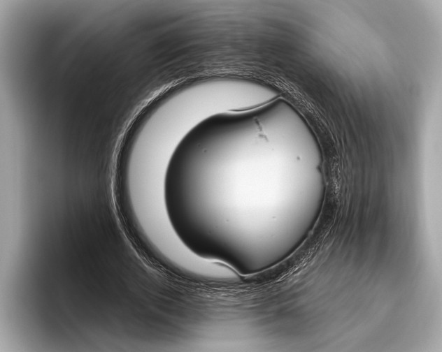 X0000096430728200802141431