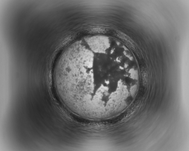 X0000096430729200802141431