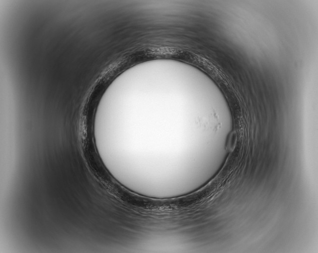 X0000096430731200802141431