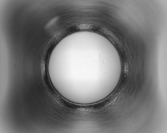 X0000096430733200802141431