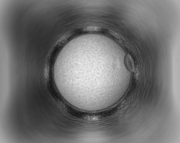 X0000096430735200802141431