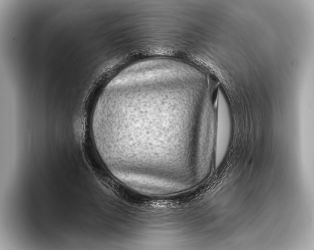 X0000096430736200802141431