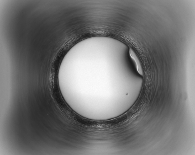 X0000096430739200802141431
