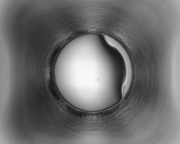 X0000096430740200802141431