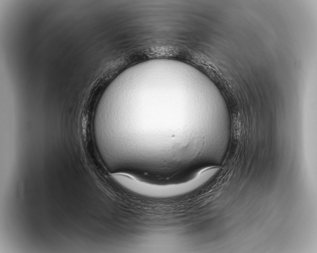 X0000096430742200802141431