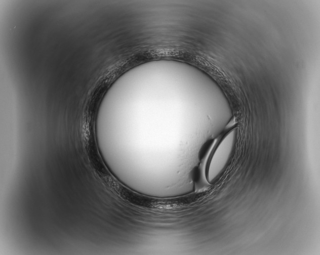 X0000096430746200802141431
