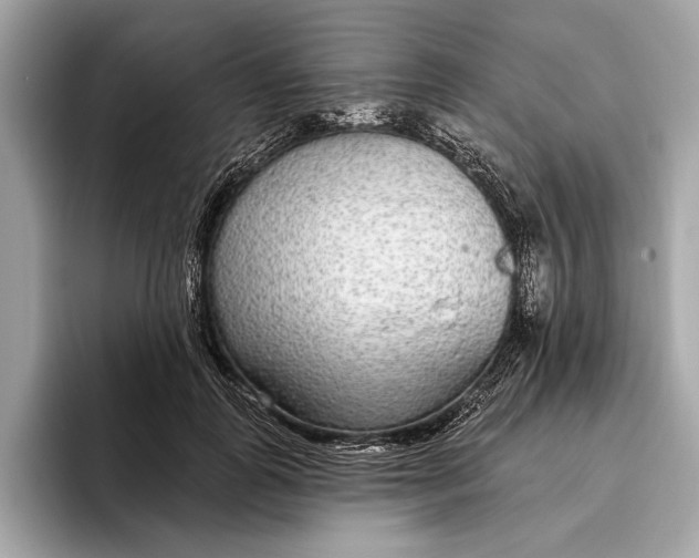 X0000096430747200802141431