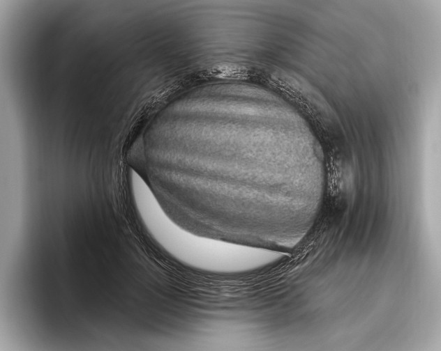 X0000096430748200802141431