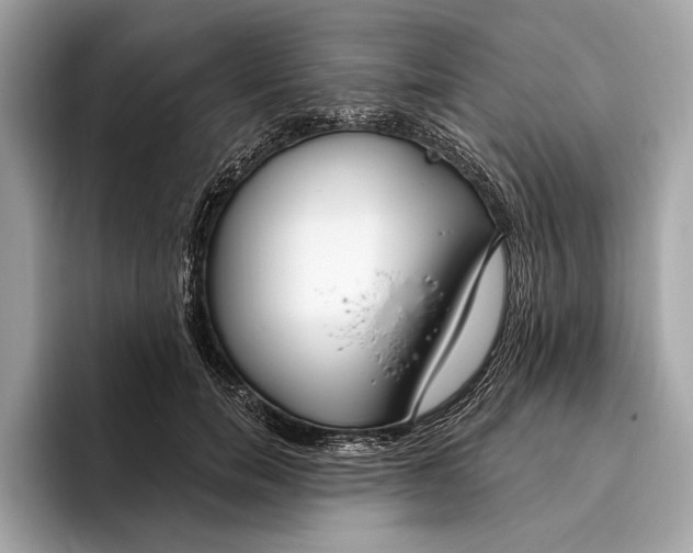 X0000096430750200802141431