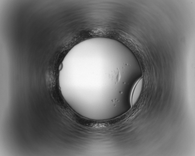 X0000096430751200802141431