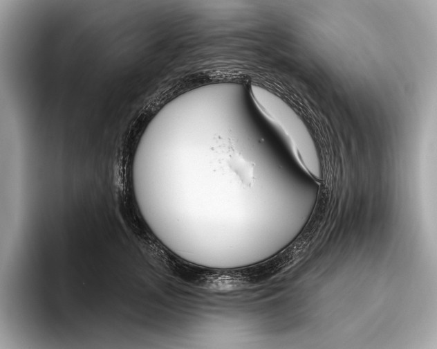 X0000096430755200802141431