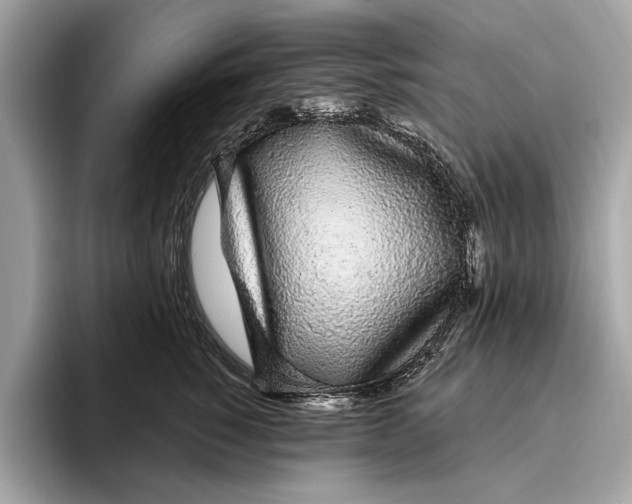 X0000096430760200802141431
