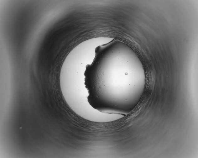 X0000096430762200802141432