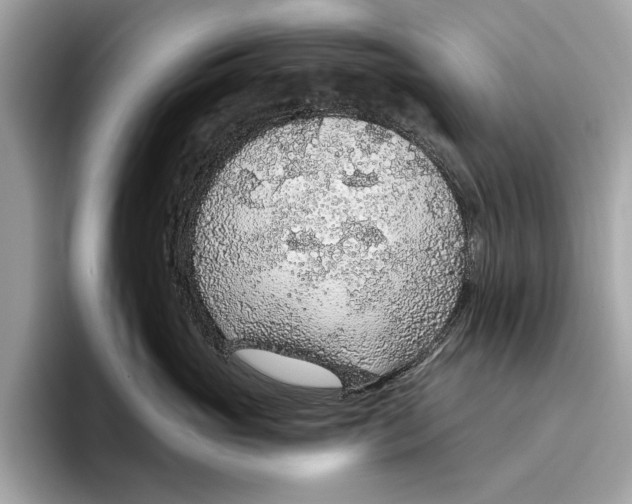 X0000096430765200802141432