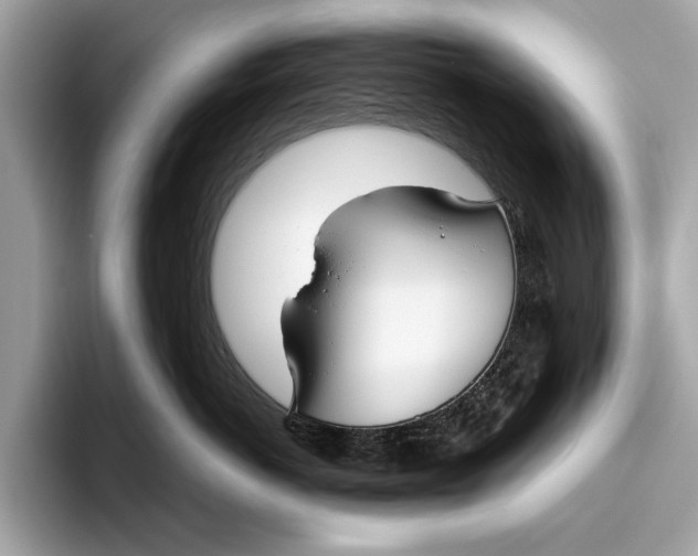 X0000096430766200802141432