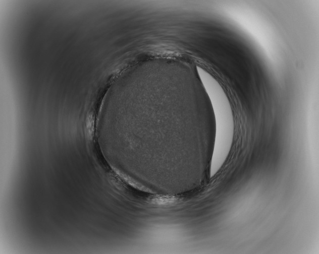 X0000096430767200802141432
