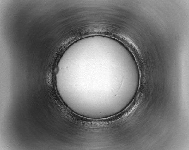 X0000096430777200802141431