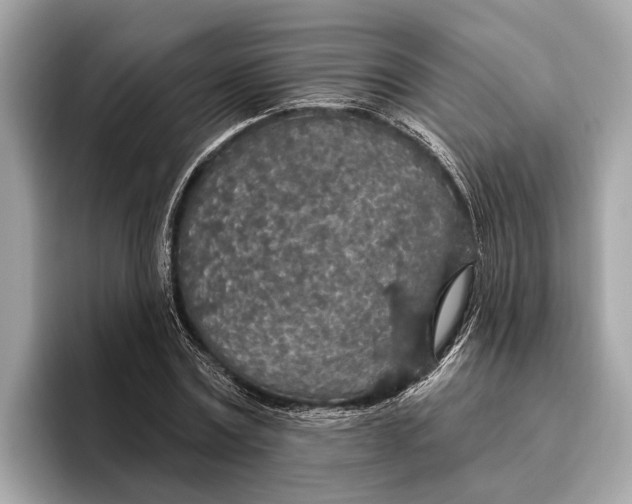 X0000096430779200802141431
